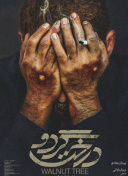 欧美A级黄片